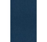 Sirenas Del Abismo: Tentaciones De Las Profundidades (Spanish Edition)