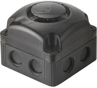 Sirène Werma Signaltechnik 153.000.55 24 V/DC 105 dB 1 pc(s)