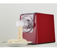 Sirge Pastiamag48 Machine à pâtes 300 W - 48 filets - 900 g de pâte à extrusion verticale [pas d'attaque] offert Kit Ravioli