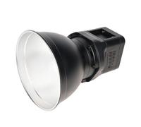 Sirui RGB LED Monolight C60R