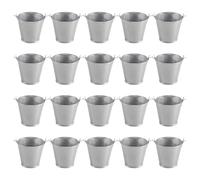 Sirxlevcy 20 PièCes Mini Seau en MéTal Portable Pot de Fleur Vases JardinièRes Belle BoîTe à Bonbons pour la DéCoration de de FêTe de Mariage