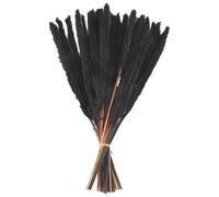 Sirxlevcy 30 PièCes SéRies Herbe de Pampa Noire, Petites Tiges Moelleuses SéChéEs Naturelles de 17 Pouces pour la DéCoration de Mariage à Arrangements Floraux, DéCor