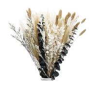 Sirxlevcy 45 Pièces d'herbe de Pampa Séchée pour Décoration D'Intérieur Boho Décoration de Salle de Bain, Décoration de Bureau