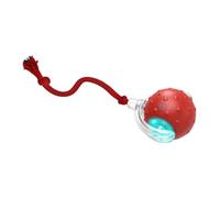 Sirxlevcy Interactifs pour D'Intérieur Balle Roulant Rapidement sur Le Tapis, Gazouillant et Activant Le Mouvement des pour