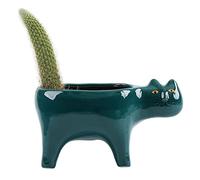 Sirxlevcy Mignon Chat en CéRamique Jardin Pot de Fleur Animal Image Cactus Plante JardinièRe Succulente Plante Conteneur DéCoration de Table Vert