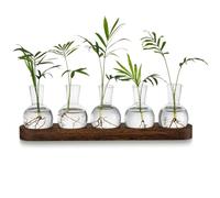 Sirxlevcy Station de Propagation de Terrarium Végétal, Vase à Bulbes en Verre avec Plateau en Bois, Vases à Bourgeons Modernes pour Salon