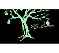 Siser Film Largeur de coupe 30 cm