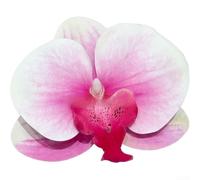 SiSinkal Phalaenopsis Fleurs d'orchidée artificielles en PVC - 10 cm - Pour bricolage, décoration murale de mariage, arrangements de toile de fond de fête (poudre blanche n° 22)