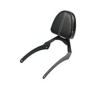Sissy Bar De Dossier Amovible pour Passager De Moto avec Porte-Bagages pour Indien pour Scout 2015-2023 pour Scout Sixty ABS 2016-2023 YTdhfDGJ(4)