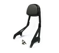 Sissy Bar Dossier Arrière Passager Vertical avec Coussinet pour Bolt pour XV950 pour XVS950 2014-2020 pour pour R-Spec Porte-Bagages arrière