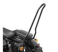 Sissy Bar pour Harley Sportster Forty-Eight 48 10-20 Craftride Tampa