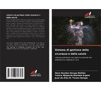 Sistema Di Gestione Della Sicurezza E Della Salute