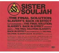 Sister Souljah - Final Solution: Slavery's Back/Hate That