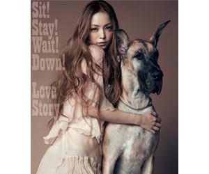 Sit Stay Wait Down/Love St [Import Allemand]