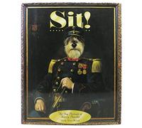Sit!: The Dog Portraits of Thierry Poncelet
