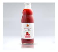 Sitar Prodigies of The Earth Jus Pur de Pastèque Bio 700ml