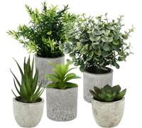 Sitbfoam Lot de 5 mini plantes artificielles Langue de serpent Agave Succulent Claw Aloe, Plantes artificielles pour chambre à coucher, bureau Décoration