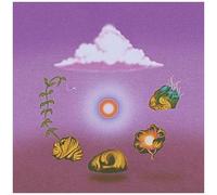 Evolfo – Site Out of Mind – CD