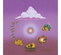 Evolfo – Site Out of Mind – CD