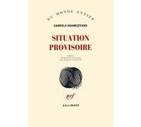 Situation provisoire Gabriela Adamesteanu (Auteur), Nicolas Cavaillès (Traduction)
