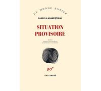 Situation provisoire Gabriela Adamesteanu (Auteur), Nicolas Cavaillès (Traduction)