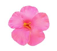 Siumlation Pince à cheveux en forme de fleur pour femmes et filles - Barrette hibiscus - Accessoires pour les vacances et les fêtes sur la plage