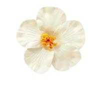 Siumlation Pince à cheveux en forme de fleur pour femmes et filles - Barrette hibiscus - Accessoires pour vacances et fêtes sur la plage