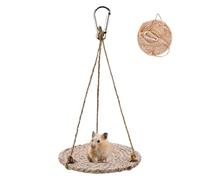 Siuwddee Hamac en forme de dragon barbu | Jouet en forme de lézard pour petit animal de compagnie, accessoire de réservoir, jouet en maille respirante pour caméléon, serpents