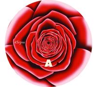 Höyem, Sivert - Roses of Neurosis [Import]