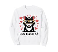 Six Seven Cat Rizz Niveau 67 Meme Cute Hearts Internet Trend Sweatshirt