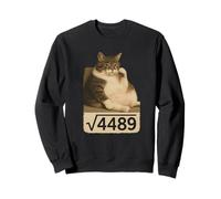 Six Seven Meme Cat Square Root of 4489 Numéro de Tendance Internet Sweatshirt