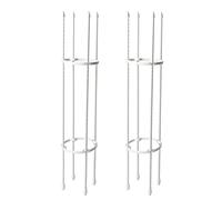 SIXRUN Cadre de Support pour Vignes Grimpantes, Design élégant pour Balcon, Jardin, Support Décoratif pour Plantes avec Tuyau en Acier et Matériau PP 75 X 15 Cm, 8 Poteaux