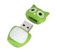 SIXRUN Cartoon Owl USB Flash Drive, 64GB High-Speed Storage (16GB) | Construction en plastique ABS, fonctionnement Plug-and-Play, clip porte-clés, transfert de données pour musique, photos,