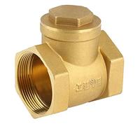 SIXRUN Clapet de Retenue à Battant, DN50 Filetage Femelle 232PSI Non | Filetage Interne de 2 Pouces, Flux D'eau Unidirectionnel, Laiton Durable, Installation facile.