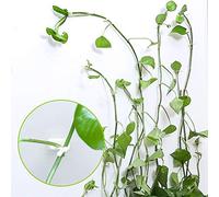 SIXRUN Clips Adhésifs pour Mur de Jardin, Câble torsadé Fixant Les Plantes-50 Pièces pour Vignes Grimpantes, Matériau Solide et Durable (41)