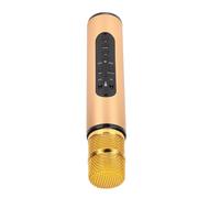 SIXRUN Micro Bluetooth sans Fil pour Chant, Echoing Q6 en Métal (Gold) | Micro chantant rechargeable 2000 mAh, haut-parleur 5 W + 5 W, pilote 40 mm, support TF 32 Go, voiture, maison, fête, KTV