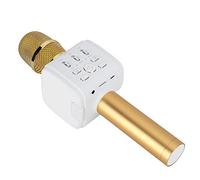 SIXRUN Microphone Bluetooth sans Fil, 1500mAh Micro Karaoké en Métal (Gold) | Microphone karaoké avec support de téléphone intégré, 3,5 mm et support de carte, réverbération vocale, haut-parleur 3 W,