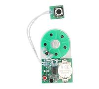 SIXRUN Module de Lecture D'enregistrement de 25 Secondes, Carte Enregistreuse Sonore avec Ruban Adhésif Double Face, pour Cartes de Vœux Cadres Photos Artisanat