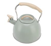 SIXRUN Théière Sifflante en Acier Inoxydable 3L, Fond Plat Vert Clair avec Poignée en Plastique Technique pour Usage Domestique