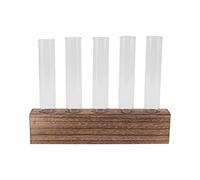 SIXRUN Tubes de Propagation de Plantes de Bureau Terrarium élégant Support en Bois Décor à la Maison Jardinière en Verre Minimaliste Herbes Violettes Africaines Salon Chambre Bureau Cuisine Mini (5