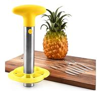 SIXRUN Vide-ananas et Trancheuse en Acier Inoxydable avec Lames Amovibles