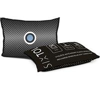 SIXTOL Dry CAR Mini coussin de déshumidification compact absorbe l'humidité indésirable Airdry Duo pour voiture, 1 x 150 g