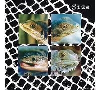 Size – Nadie Pueda Vivir Con un Monstruo – Vinyle LP (bleu)