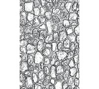 Sizzix 3-D Texture Fades Dossier de gaufrage Mini Cobblestone par Tim Holtz, 665461