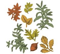 Sizzix 49 and Market Matrice de découpe Feuilles éternelles Transparent Format A5