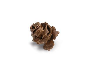 Sizzix 660035 Bigz Matrice Jumbo Pomme de Pin en Lambeaux par Tim Holtz Gris