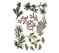 Sizzix 661597 Matrices, Feuilles des Fêtes - Multicolore, Taille Unique - 11 unités
