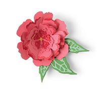 Sizzix Matrice de decoupe Bigz Coquillages #3 par Jessica Scott, 665195, Papier Métal Aluminium, Multicolore, taille unique