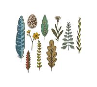 Sizzix 665215 Thinlits Funky Nature par Tim Holtz Lot de 10
