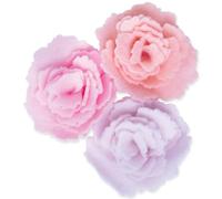 Sizzix Bigz Cabbage Rose - Matrices de Découpe en Acier Durable - Pour Grandes Créations Florales 3D, Coupe des Matériaux Épais